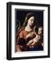 Virgin and Child-Francesco Trevisani-Framed Giclee Print