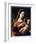 Virgin and Child-Francesco Trevisani-Framed Giclee Print