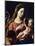 Virgin and Child-Francesco Trevisani-Mounted Giclee Print