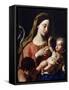 Virgin and Child-Francesco Trevisani-Framed Stretched Canvas