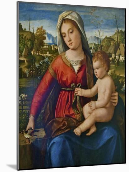 Virgin and Child-Andrea Previtali-Mounted Giclee Print