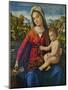 Virgin and Child-Andrea Previtali-Mounted Giclee Print