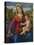 Virgin and Child-Andrea Previtali-Stretched Canvas