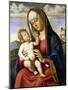 Virgin and Child-Giovanni Battista Cima Da Conegliano-Mounted Giclee Print