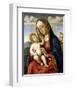 Virgin and Child-Giovanni Battista Cima Da Conegliano-Framed Giclee Print