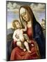 Virgin and Child-Giovanni Battista Cima Da Conegliano-Mounted Giclee Print
