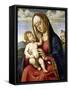 Virgin and Child-Giovanni Battista Cima Da Conegliano-Framed Stretched Canvas