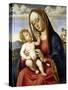 Virgin and Child-Giovanni Battista Cima Da Conegliano-Stretched Canvas