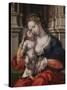 Virgin and Child-Jan Gossaert-Stretched Canvas