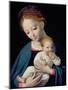 Virgin and Child-Cornelis van Cleve-Mounted Giclee Print