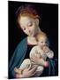 Virgin and Child-Cornelis van Cleve-Mounted Giclee Print