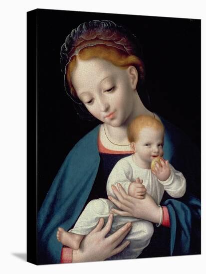 Virgin and Child-Cornelis van Cleve-Stretched Canvas