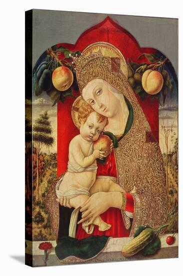 Virgin and Child-Carlo Crivelli-Stretched Canvas