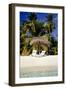 Virgin Beach and Sunshades, Bangaram, Lakshadweep Islands, India, Indian Ocean, Asia-Balan Madhavan-Framed Photographic Print