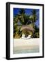 Virgin Beach and Sunshades, Bangaram, Lakshadweep Islands, India, Indian Ocean, Asia-Balan Madhavan-Framed Photographic Print