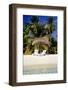 Virgin Beach and Sunshades, Bangaram, Lakshadweep Islands, India, Indian Ocean, Asia-Balan Madhavan-Framed Photographic Print