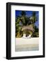 Virgin Beach and Sunshades, Bangaram, Lakshadweep Islands, India, Indian Ocean, Asia-Balan Madhavan-Framed Photographic Print