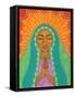 Virgin de Guadalupe-Tamara Adams-Framed Stretched Canvas