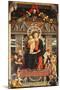 Virgin Enthroned, Detail from Central Part of San Zeno Altarpiece-Andrea Mantegna-Mounted Giclee Print