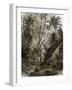 Virgin Forest in Kar-Nikobar (Indian Ocean)-English-Framed Giclee Print