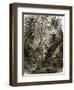 Virgin Forest in Kar-Nikobar (Indian Ocean)-English-Framed Giclee Print