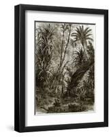 Virgin Forest in Kar-Nikobar (Indian Ocean)-English-Framed Giclee Print