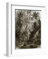 Virgin Forest in Kar-Nikobar (Indian Ocean)-English-Framed Giclee Print