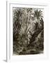 Virgin Forest in Kar-Nikobar (Indian Ocean)-English-Framed Giclee Print