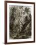 Virgin Forest in Kar-Nikobar (Indian Ocean)-English-Framed Giclee Print