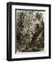 Virgin Forest in Kar-Nikobar (Indian Ocean)-English-Framed Premium Giclee Print