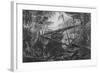 Virgin Forest, Paraiba, Brazil, C.1840-null-Framed Giclee Print