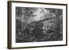 Virgin Forest, Paraiba, Brazil, C.1840-null-Framed Giclee Print