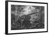 Virgin Forest, Paraiba, Brazil, C.1840-null-Framed Giclee Print