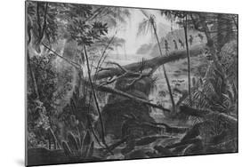 Virgin Forest, Paraiba, Brazil, C.1840-null-Mounted Giclee Print