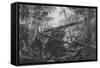 Virgin Forest, Paraiba, Brazil, C.1840-null-Framed Stretched Canvas