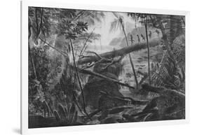 Virgin Forest, Paraiba, Brazil, C.1840-null-Framed Giclee Print