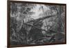 Virgin Forest, Paraiba, Brazil, C.1840-null-Framed Giclee Print