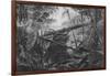 Virgin Forest, Paraiba, Brazil, C.1840-null-Framed Giclee Print