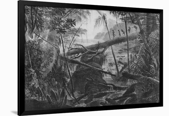 Virgin Forest, Paraiba, Brazil, C.1840-null-Framed Giclee Print