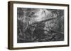 Virgin Forest, Paraiba, Brazil, C.1840-null-Framed Giclee Print