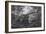 Virgin Forest, Paraiba, Brazil, C.1840-null-Framed Giclee Print