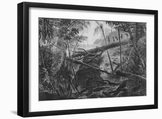 Virgin Forest, Paraiba, Brazil, C.1840-null-Framed Giclee Print