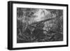 Virgin Forest, Paraiba, Brazil, C.1840-null-Framed Giclee Print