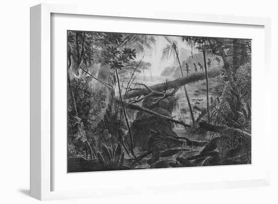 Virgin Forest, Paraiba, Brazil, C.1840-null-Framed Giclee Print