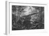 Virgin Forest, Paraiba, Brazil, C.1840-null-Framed Giclee Print