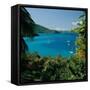 Virgin Islands National Park St. Johns Us Virgin Islands-null-Framed Stretched Canvas