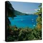 Virgin Islands National Park St. Johns Us Virgin Islands-null-Stretched Canvas