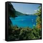 Virgin Islands National Park St. Johns Us Virgin Islands-null-Framed Stretched Canvas