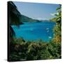 Virgin Islands National Park St. Johns Us Virgin Islands-null-Stretched Canvas