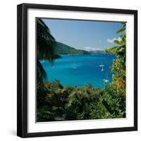 Virgin Islands National Park St. Johns Us Virgin Islands-null-Framed Photographic Print